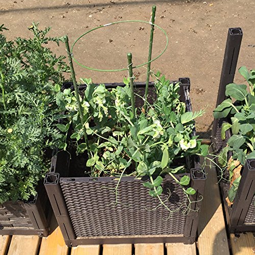 17.7" Plant Support Ring,ADSRO Adjustable Plant Grow Trellises Garden Basket Plant Fixed Climbing Gardening Plant Cage 3Pack (Green)