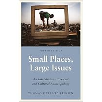 Small Places, Large Issues: An Introduction to Social and Cultural