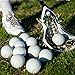 Champion Sports Practice Sponge Lacrosse Balls: Soft Touch for Professional, College & Grade School Indoor Training & Practice - 12 Pack White