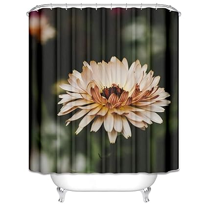 Amazon Com Amdxd Bathroom Curtain Colorful Polyester Shower