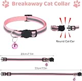Pinenuts Cat Harness and Lead Set Adjustable Escape Proof Rainbow Kitten Harness view 4