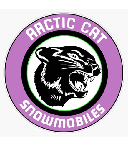 Arctic Cat snowmobile from the 1960s