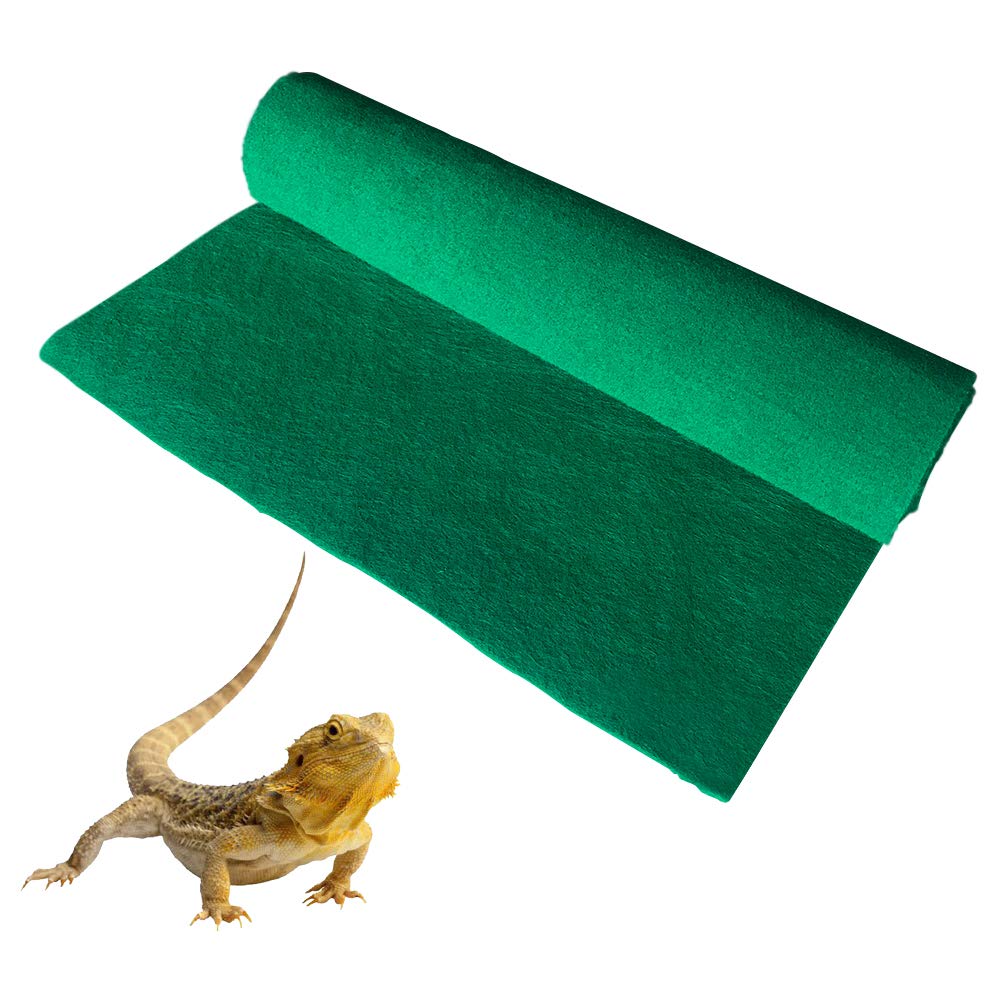 bedding for iguana
