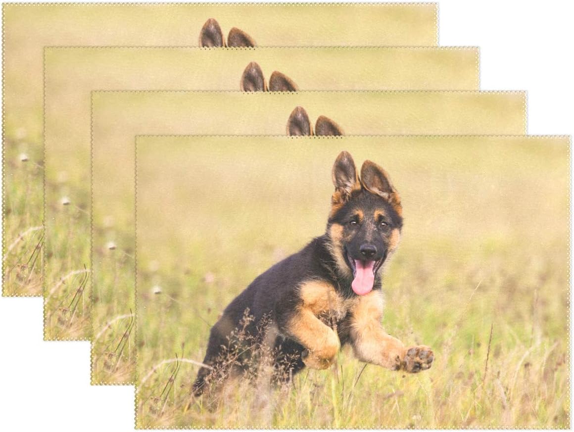 german shepherd puppy running