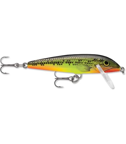 Amazon.com: Rapala Countdown Elite CDE55 GDAY Gildan Ayu : Sports
