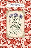 Le petit livre des plantes sauvages by