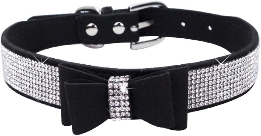 crystal dog collar