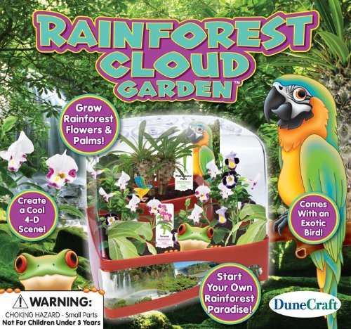 DuneCraft Rainforest Cloud Garden Science Kit