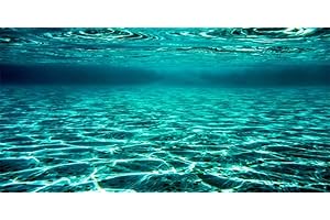 YongFoto Fish Tank Background 36x14 inch Turquoise Clear Water Ripple Lakebed Undersea Ocean Floor Underwater Seabed Reptile Habitat Terrarium Aquarium Polyester Backdrop