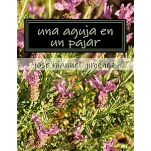 una aguja en un pajar (Spanish Edition)