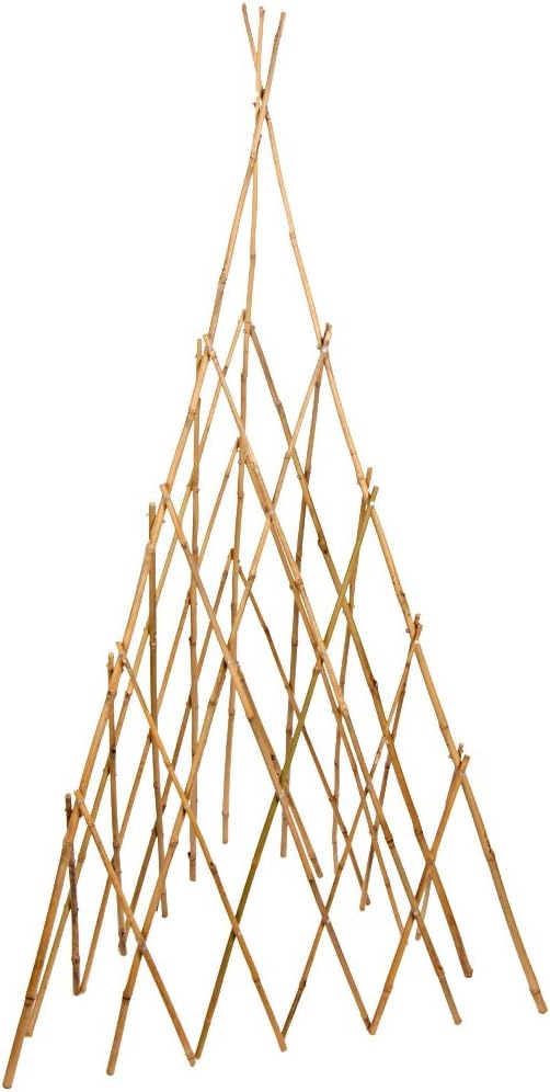 Bonide Products TP60 Bamboo Teepee Trellis for Climbing Plants, 60 Inches (When Open), 1 Trellis