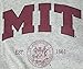 New York Fashion Police MIT T-Shirt Massachusetts Institute of Technology MIT Shirt Arch Grey L