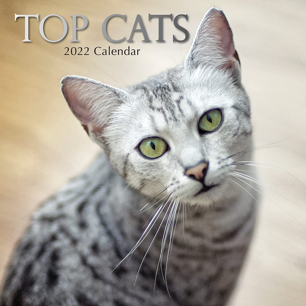 Top Cats - Top-Katzen 2022 - 16-Monatskalender: Original Gifted Stationery-Kalender [Mehrsprachig] [Kalender]