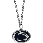 NCAA Chain Necklace with Small Charm, 20"