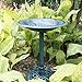 VIVOHOME Polyresin Antique Outdoor Green Garden Bird Bath and Solar Powered Sunflower Pond Fountain Combo Set