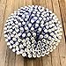 Shuiniba Biodegradable Striped Paper Straws,Paper Drinking Straws for Party, Events and Crafts,Baby Shower Decorations 7.75 Inches,100 Packs - Navy Blue White Striped