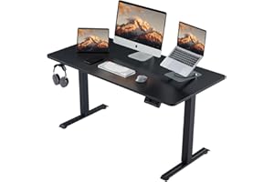 Deroavixe Electric Standing Desk, Height Adjustable Desk with 4 Memory Height Settings, 48 x 24 Inches, Home Office Workstation (Black Desktop + Black Frame)