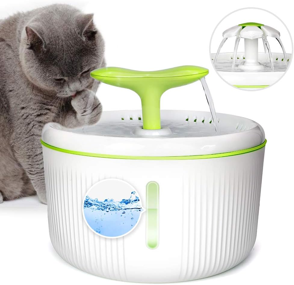 8 Mejores Accesorios Imprescindibles Para Gatos 2020