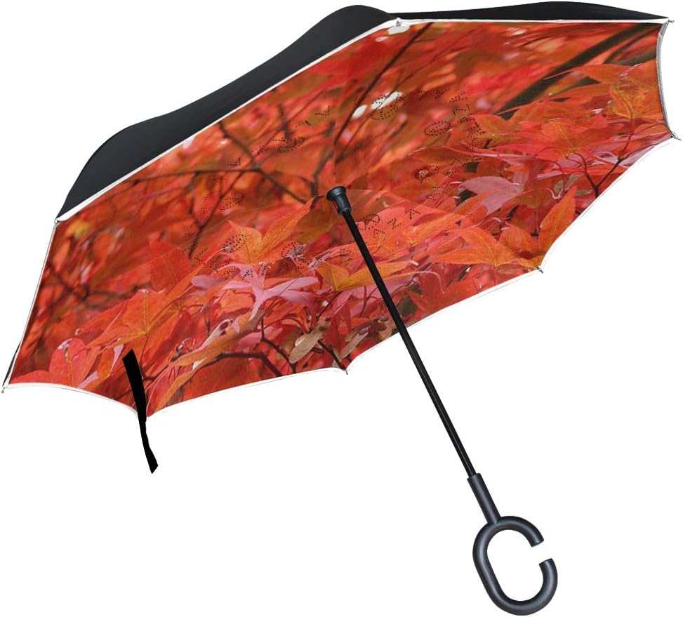 Reverse Umbrella Why Leaves Change Color In Fall Windproof for Car