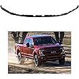 YDDCHF Front Lower Deflector Valance Panel Compatible with 2020 2021 2022 Fo-rd F-250 F-350 F450 F550 Super Duty, Black, NBAUTOOT001796