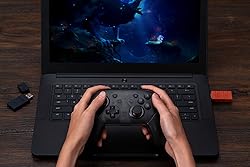 8BitDo Wireless USB Adapter 2 for Switch/Switch