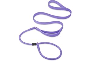 AAUFILUX Slip Lead Dog Leash, Dog Training Leash with Double Handle, Soft Leather Slip Leash and Collar, Heavy Duty Nylon Dog Lead, No Pull Walking Leash for Medium Large Small Dogs 6ft Purple