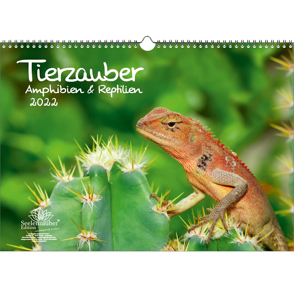 Tierzauber Amphibians and Reptiles DIN A3 Calendar for 2022 - Soul Magic