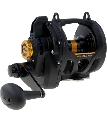 Penn  1292937 30VSW Squall Lever Drag 2 Speed Reel、1035/30 Penn 1292937 30VSW Squall Lever Drag 2 Speed Reel, 1035/30