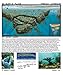 Roatan Dive Guide