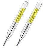 2pcs Glass Thermometer Mercury Free Clinlic