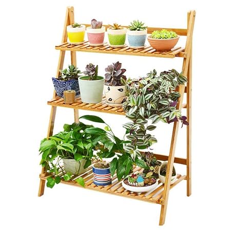 BCLGCF Marco De Planta De Madera Plegable De 3 Capas Caja De ...