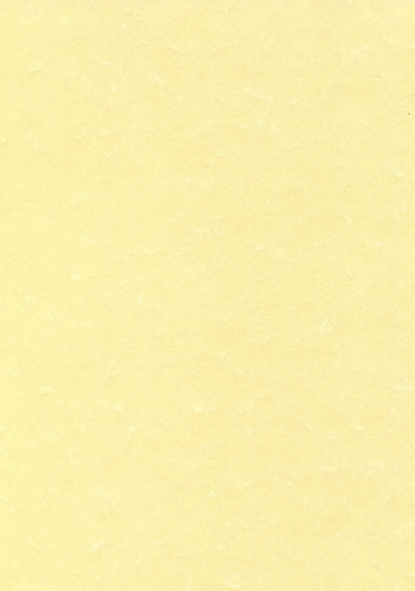 Amazon Com Carta Pergamenata Decadry A3 Champagne 165 G Mq Pcl1807 Confezione Da 25 Champagne Glasses