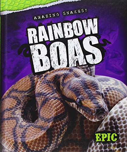 Rainbow Boas (Amazing Snakes!)