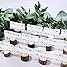 Supla 100 Pcs Greenery Wedding Table Setting Name Place Cards Watercolor Floral Eucalyptus Escort Cards Party Tented Cards Guest Seating Cards Buffet Cards Folded Cards for Christmas Dinner Birthday