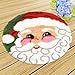 MLADEN Latch Hook Kits DIY Tools Crocheting Rug Christmas Shaggy Decoration Family Gift and Activity 20