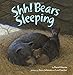 Shh! Bears Sleeping