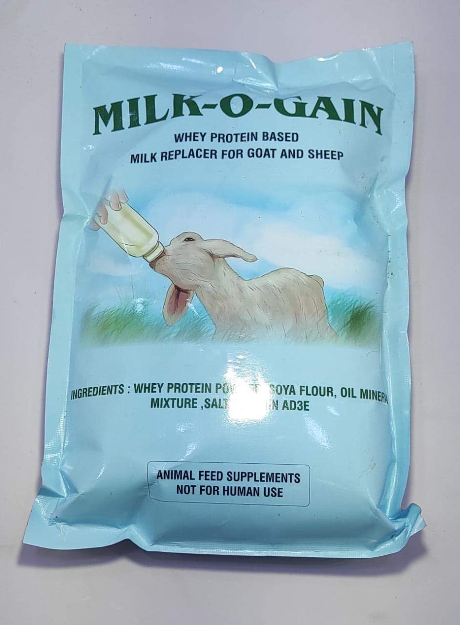 Buy MilkOGAIN Goat Milk REPLACER Online at Low Prices in India