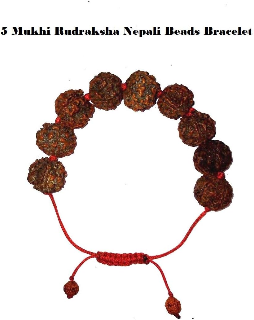 SHIV SHANKAR ACCESSORIES 5 Mukhi(Face) Rudraksh Rudraksha 18-20 mm Nepal Beads Bracelet Wrist Band ~Energized