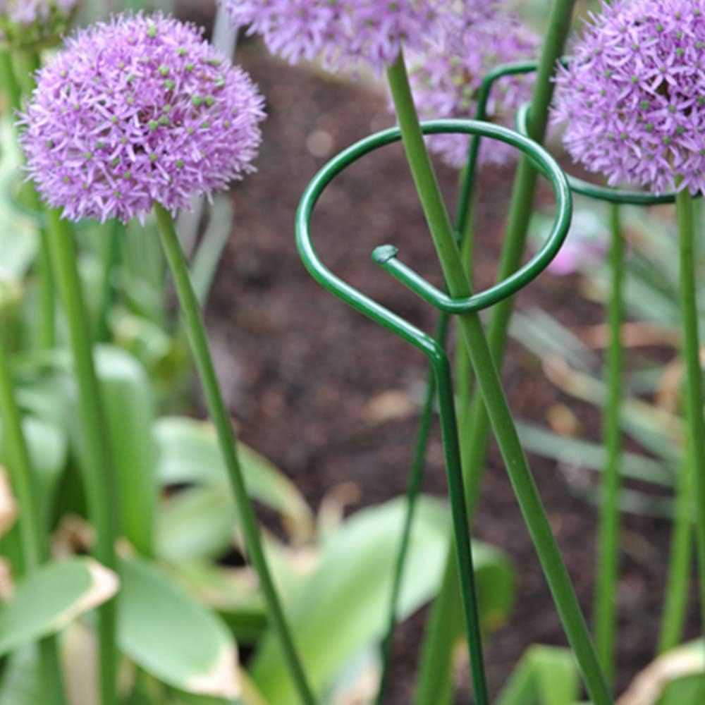 VIMOA Single Stem Plant Supports 3 Pack Plant Support Stakes Garden Plant Cage for Amaryllis