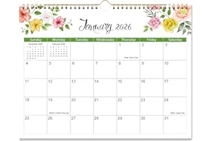 2026 Wall Calendar, 2026-2027 Calendar Runs from January until June 2027, 14.5" x 11.5", Monthly Hanging Calendar with Twin-W