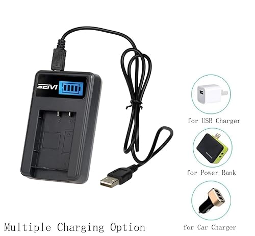 LCD USB Battery Charger for Canon VIXIA HF R600, HF R700, HF R800