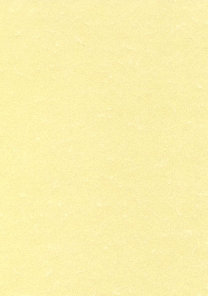 Carta pergamenata Decadry - A3 - Champagne - 165 g/mq - PCL1807 (confezione da 25)