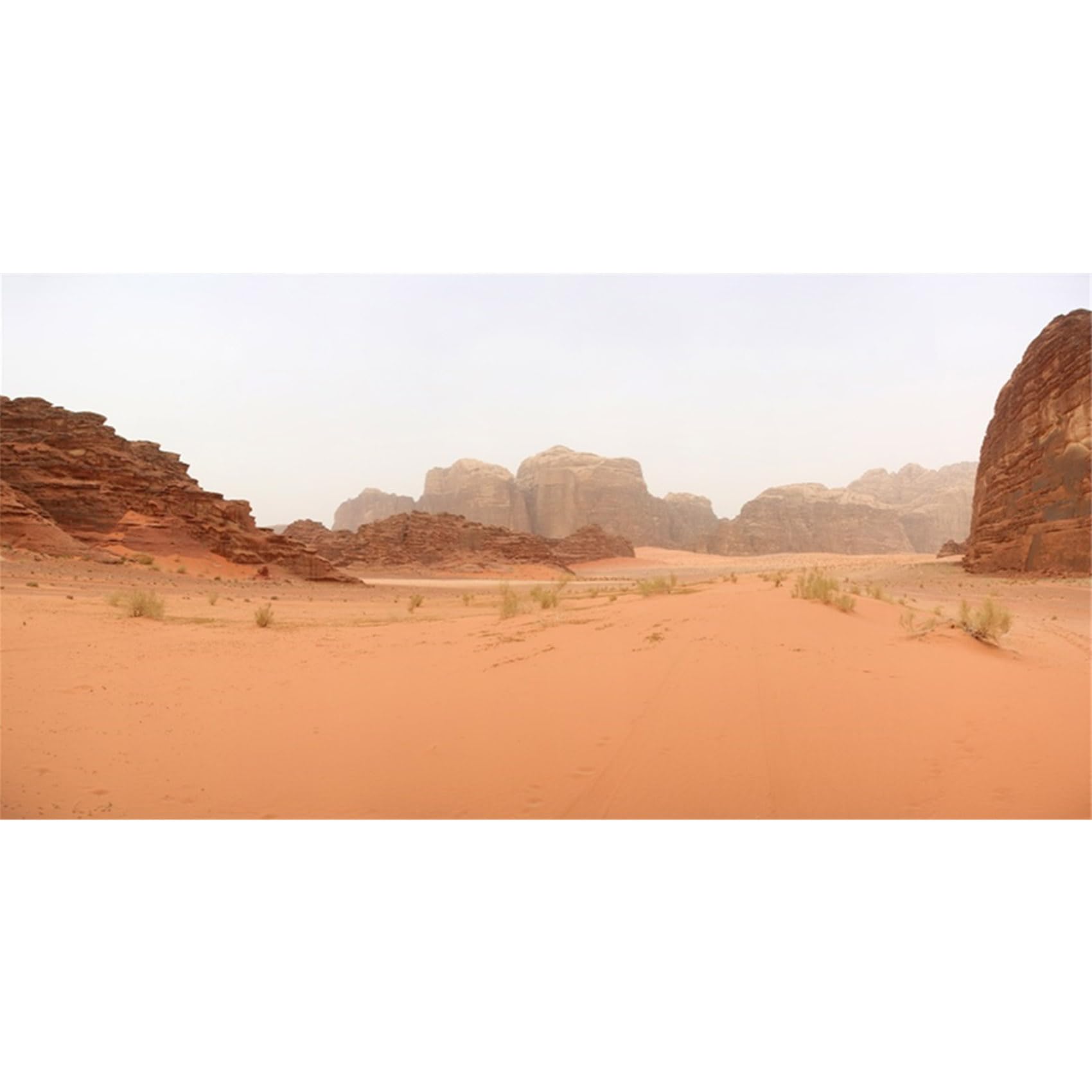 MIRRORANG 180x46cm Terrarium Background Gobi Oasis Rocky Orange Desert Reptile Habitat Background Durable Vinyl Background