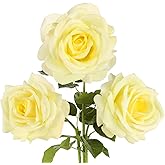 Rzoukler Real Touch Yellow Roses Artificial Flowers 3Pcs Latex Faux Roses Flowers with Long Stem 25” Lifelike Fake Roses for DIY Wedding Bouquet Table Centerpiece Home Party Decorations (Light Yellow)