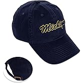 Desert Cactus University of Michigan Baseball Hat Wolverines UM U of M Brimmed Embroidered Hats Cap Adjustable Cloth Strap Adult (Style H1) Blue