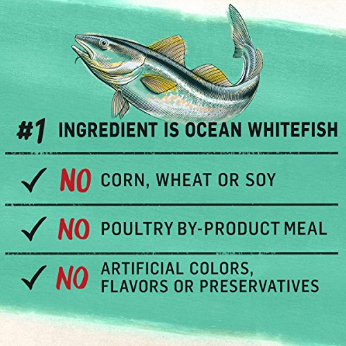 3 Purina+Beyond+Natural+Whitefish+Recipe