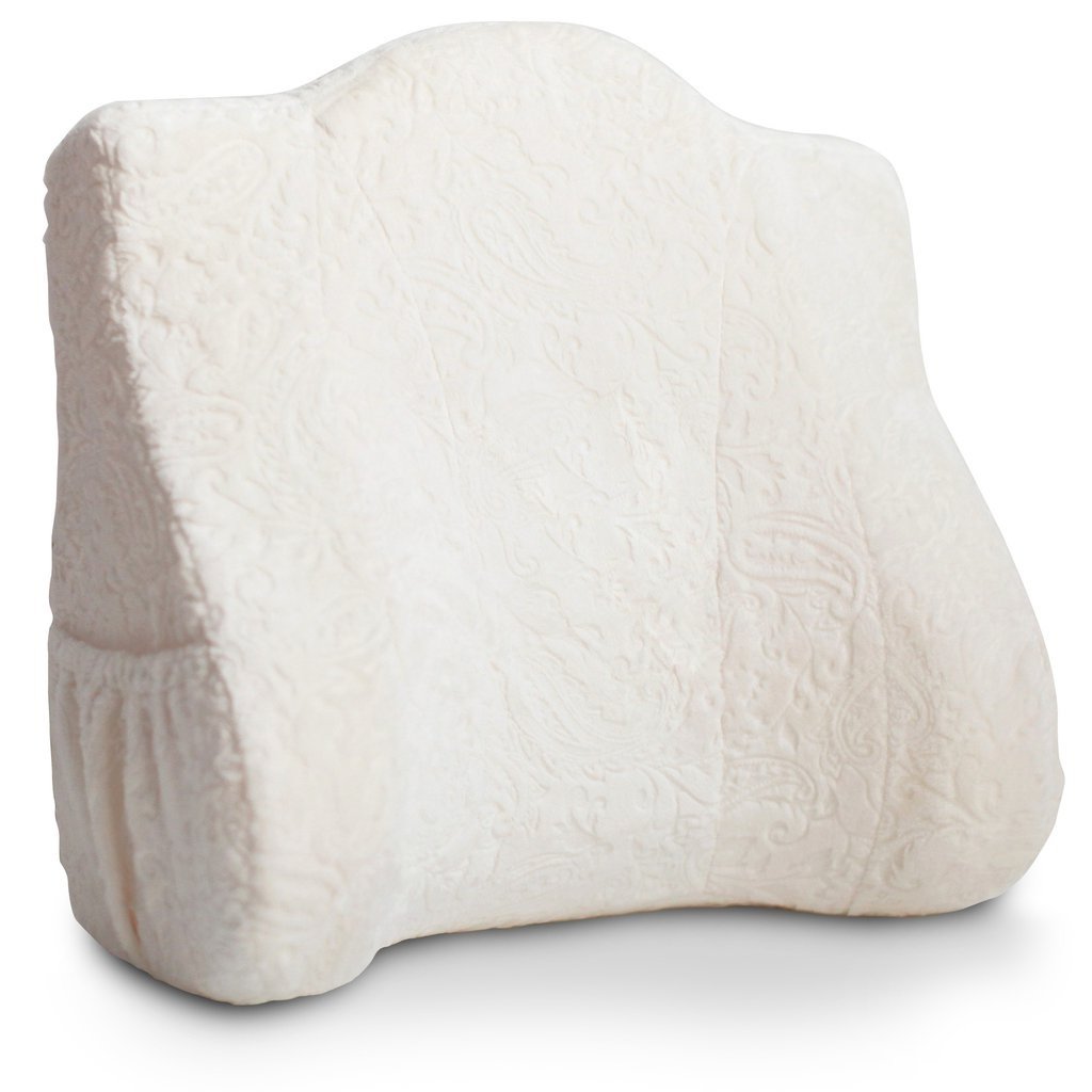 back buddy support pillow