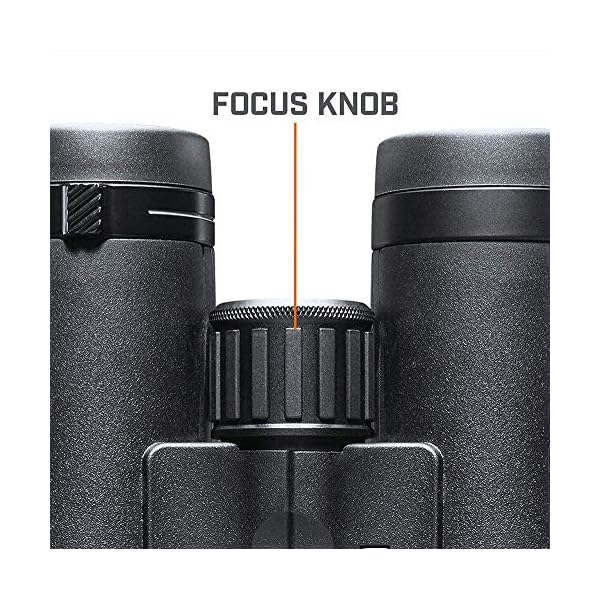 Bushnell Fernglas Engage DX 10x42 - Profi Fernglas, brilliante Bildqualität, detailreich, robust, mehrfach beschichtete Linsen, BENDX1042 – Bild 7