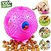 CHLEBEM Interactive Puppy Toys Ball for Small Medium Dogs - Chew Teething Teeth Cleaning Treat Food Dispensing Tough Durable Rubber Pet Ball (Pink)