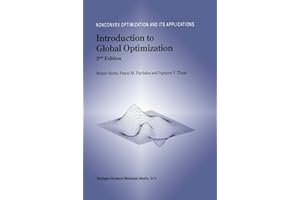 Introduction to Global Optimization (Volume 48)